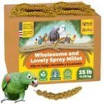 5lbs Wholesome Spray Millet for Birds – Grown, Harvested & Packed in The USA – 100% Natural, Sun‑Dried Bird Treat – Foraging Millet for Parakeets, Cockatiels, Conures, Budgies & Parrots