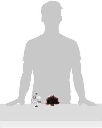 biOrb Sea Lily Crimson (Pack of 2)