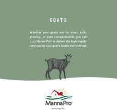Manna Pro Cut Heal Hoof Heal, 16-Ounces