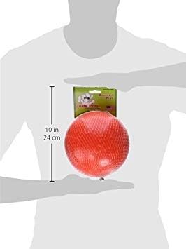 Jolly Pets Dog 6-Inch Bounce-n-Play, Orange, 6 Inches/Medium