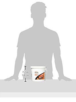 Seachem NutriDiet Discus Flakes - Fortified Ornamental Fish Food Supplement 500g