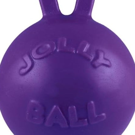 Jolly Pets Tug-n-Toss Heavy Duty Dog Toy Ball with Handle, 4 Inches/Petite, Purple (404 PR)