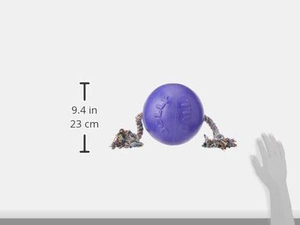 Jolly Pets Romp-n-Roll Rope and Ball Dog Toy, 8 Inches/Large, Purple, Large Breeds