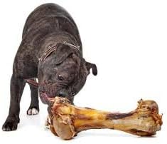 EcoKind Dog Bone Giant Femur Bone for Dogs | 1 Bone | Long Lasting Mammoth Dog Bones for Aggressive Chewers, Rawhide Free Healthy Dog Treat, Large Bones, Digestible Dog Chews & USDA Certified