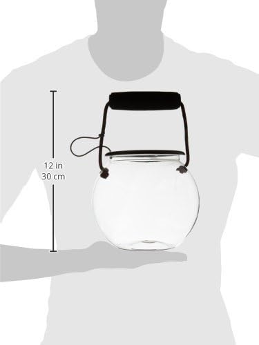 Dry Branch Sports Design Catch and Release Beach Aquarium Kit , Clear