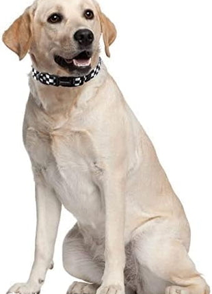 Roses&Poetry Dog Collar with Colourful Checkered Patterns, Adjustable Durable Puppy Collars for Small Medium Large Dogs (Black & White-M)