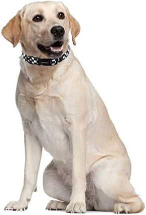 Roses&Poetry Dog Collar and Leash for Medium Large, Adjustable Durable 5ft Puppy Leash Collar for Dog Training Lead（Black & White-L）