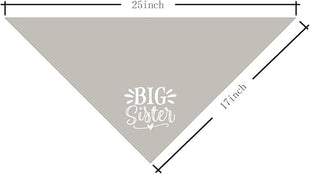Big Sister Dog Bandana, Light Gray Dog Bandana, Pet Scarf Accessories, Pet Dogs Triangle Scarf, Pet Bandanas for Small Medium Dogs (M)