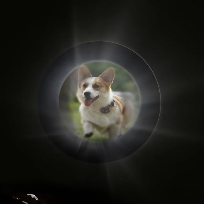 Custom Pet Necklace With Dog Bone Photo Projection Pendant 925 Sterling Silver Personalized Name and Dog Picture Necklace With Paw Print Pet Memorial Jewelry Gifts For Women Mother Wife