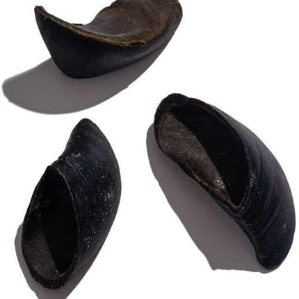 Jack & Pup Cow Hooves for Dogs, Natural Long Lasting Dog Hooves for Large and Small Breeds, Single Ingredient Cow Hoof, Dog Treats Alternative for Rawhide and Bully Sticks - 8 Pack