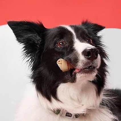 DreamBone Mini Chews, Made with Real Chicken and Vegetables, Rawhide Free Dog Chews, 8 Count