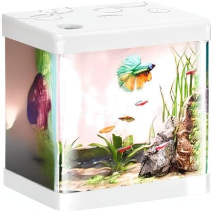 Small Fish Tank,5 Gallon Glass Aquarium Betta Fish Tank Starter Kit with Filter and LED Light.（White）