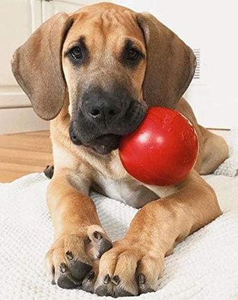 Jolly Pets Tug-n-Toss Heavy Duty Dog Toy Ball with Handle, 3 Inches/Mini, Red (403 RD)