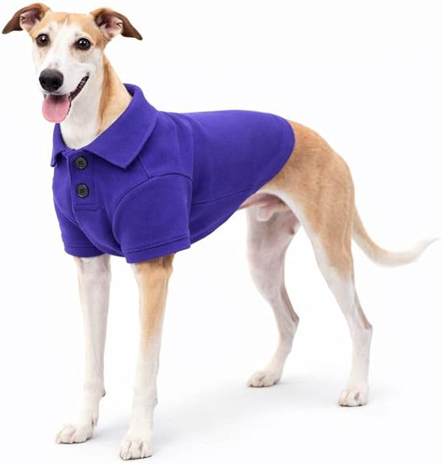 lovelonglong Basic Dog Polo Shirts Premium Cotton, Polo T-Shirts for Large Medium Small Dogs with a Two-Button Collar Blank Color Purple XXL