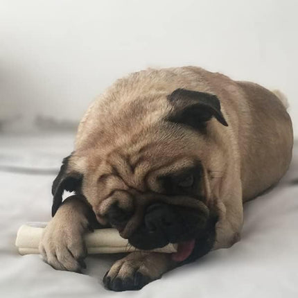 Cowdog Chews 5-6 Inches Rawhide Retriever Roll - Chewing Dog Treat, 100% Natural - Natural Grass Fed Livestock Sourced (10 Pack)