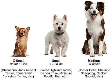 Youngever 8 Durable Dog Chew Toys, Puppy Toys, Dog Rope Toys Value Pack, Puppy Teething Toys for Small and Medium Dogs