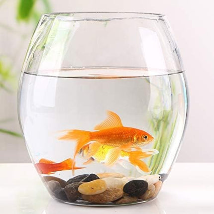 18 Pounds Pebbles Aquarium Gravel River Rock, Natural Polished Decorative Gravel, Polished Pebbles,Garden Ornamental River Pebbles Rocks, Mixed Color Stones for Landscaping Vase Fillers (18.3)