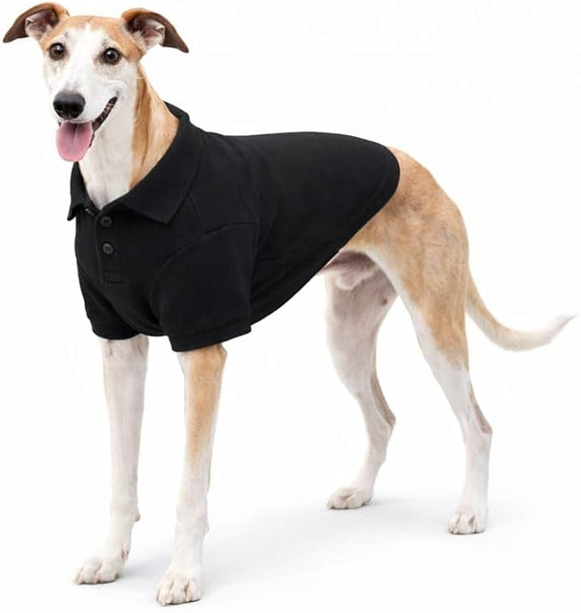 lovelonglong Basic Dog Polo Shirts Premium Cotton, Polo T-Shirts for Large Medium Small Dogs with a Two-Button Collar Blank Color Black XXL
