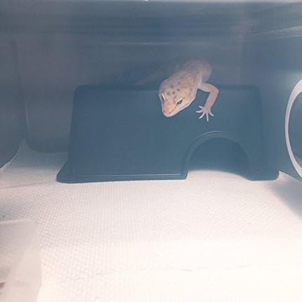 Hypeety Reptile Hide Box, Small Animal Hideaway, Hides with Texture Help Peeling, for Snakes, Lizards, Leopard Gecko (S)