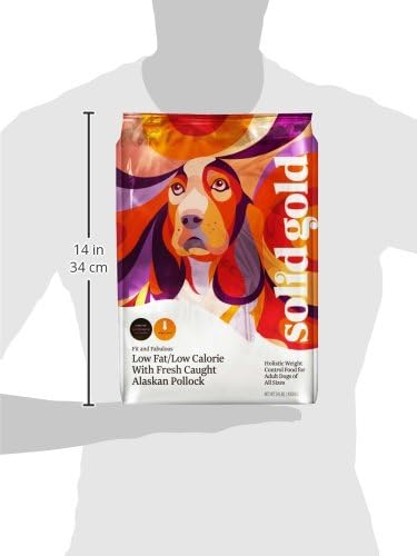 Solid Gold Healthy Weight Management Dry Dog Food for Adult & Senior Dogs - With Pollock, Whole Grain & Probiotics for Gut Health & Digestion Support - Dry Dog Food for Weight Management Support – 4LB