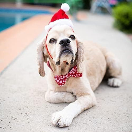 Huxley & Kent Pet Hat | Santa (Extra-Large) | Fun Christmas Holiday Hat for Dogs/Cats | Cute, Comfortable and Fun | SnugFit Strings for Best Fit