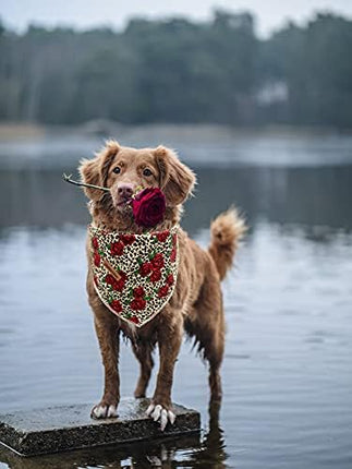 Lionheart glory Dog Bandana 1 Pack Washable Soft Cotton Rose Leopard Bibs Scarf, Adjustable Kerchief Square Dog Bandanas for Large Dogs