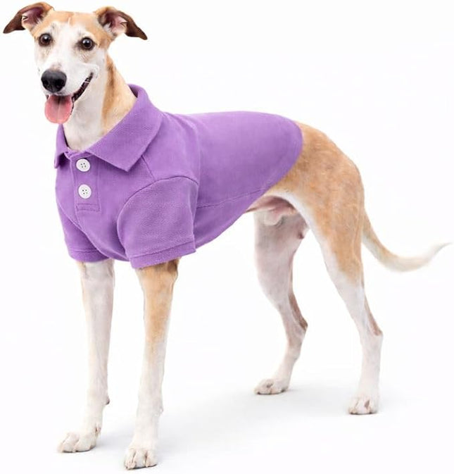 lovelonglong Basic Dog Polo Shirts Premium Cotton, Polo T-Shirts for Large Medium Small Dogs with a Two-Button Collar Blank Color Violet XXXL