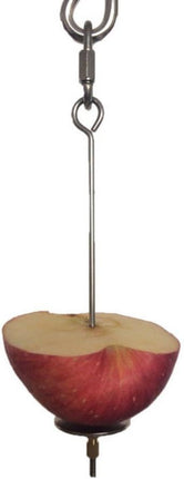 Honbay 2pcs Parrot Bird Rabbit Hutch Cage Fruit Vegetable Holder Skewer Foraging Toy Animal Treating Tool (L)