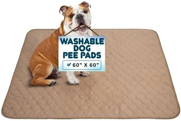 EZwhelp Reusable Dog Pee Pads - Dogs Waterproof Training Pads - Washable & Sanitary - Rounded Corners - Laminated, Lightweight, Durable - Pet Essentials Puppy Training, Whelping - 60" x 60"