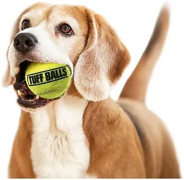 PetSport Jr Tuff Ball - Small Tennis Balls for Dogs, Great for Boredom & Aggressive Chewers, Dog Toy, Mini Tennis Balls for Small Dogs, Certified Non-Toxic, Won't Wear Down Teeth - 1.8" (24 Pack)