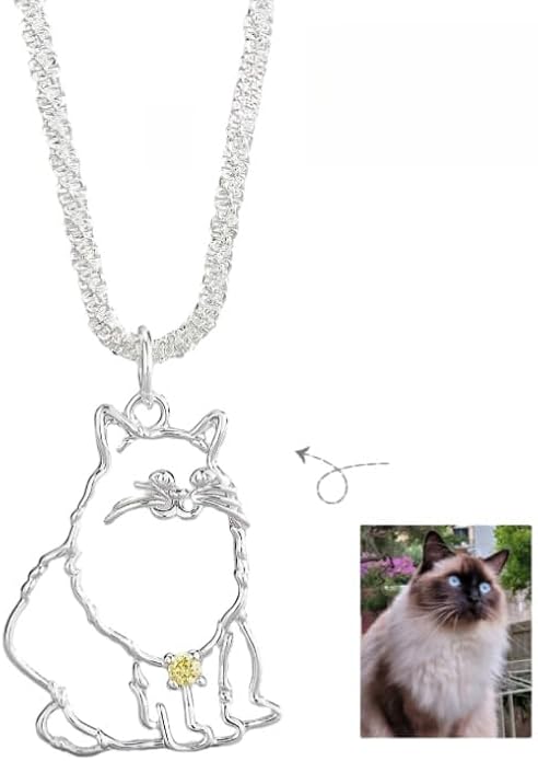 Personalised Pet Memorial Necklace, Custom Pet Picture Hollow 925 Sterling Silver Diamond Necklace, Cat Dog Memorial Pendant