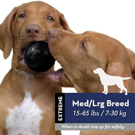 KONG Extreme Ball with Hole - Fetch Toy - Durable Dog Toy for Training, Interactive Playtime & More - Natural Extreme Rubber Ball - Black - for Large/Medium Dogs (Pack of 2)