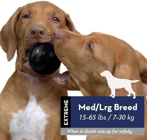 KONG Extreme Ball with Hole - Fetch Toy - Durable Dog Toy for Training, Interactive Playtime & More - Natural Extreme Rubber Ball - Black - for Large/Medium Dogs (Pack of 2)