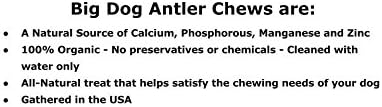 XL Deer Antler Dog Chew - Extra Large, Jumbo, for Large Dogs and Puppies Who are Aggressive Chewers