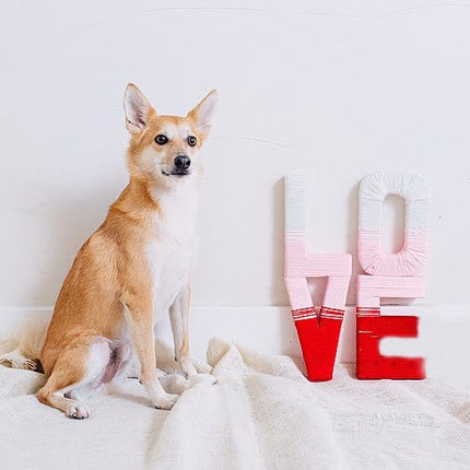 Lionet Paws Valentine's Dog Collar, Cute Pink Heart Dog Collar for Large Dogs, Adjustable Cotton Love Pet Collars for Medium Large Dogs