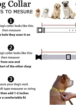 Roses&Poetry Reflective Dog Collar with Gradient Azure, Adjustable Durable Pet Collars for Small Medium Large Dogs (Azure-XS)