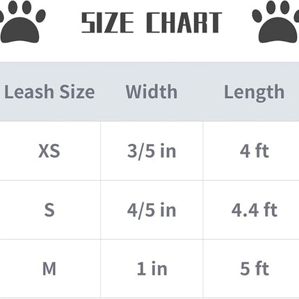 Lionet Paws Dog Leash - Silk Red Leash for Small Medium Large Dogs Matching Collar for Girl and Boy