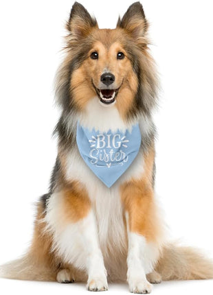 Big Sister Dog Bandana, Light Blue Pet Scarf Accessories, Pet Triangle Scarf, Dog Bandana for Small Medium Dogs, Baby Announcement Dogs Bandana (M)