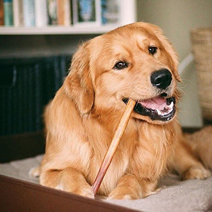 Bully Bunches Premium 12 Inch Standard Odor Free Bully Sticks for Small & Medium Dogs - Long Lasting Chews for Oral Care - Rawhide-Free, All Natural Beef Dog Treats, Packaging May Vary (5 Pk)