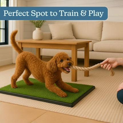 Artificial Grass Puppy Pee Pad for Dogs and Small Pets - 16x20 Inch, Reusable 3-Layer Potty Training Pad with Tray - Dog House and Pet Supplies by PETMAKER