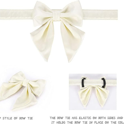 Lionet Paws Bowtie Dog Collar - Comfortable Silk Dog Collar with Detachable Bow Tie for Puppy and Cat, Neck 8-12 Inches