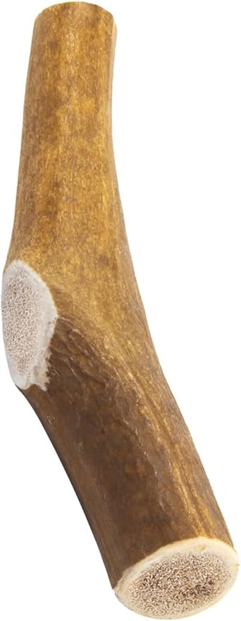 Devil Dog Pet Co. Elk Antlers for Dogs, Jumbo 8"+, 1 Pack, Grade A Long Lasting Chew for Aggressive Chewers, Premium USA Naturally Shed Antler – Healthy, No Odor, Durable Dog Chew