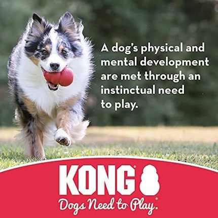 KONG Extreme Ball with Hole - Fetch Toy - Durable Dog Toy for Training, Interactive Playtime & More - Natural Extreme Rubber Ball - Black - for Large/Medium Dogs (Pack of 2)