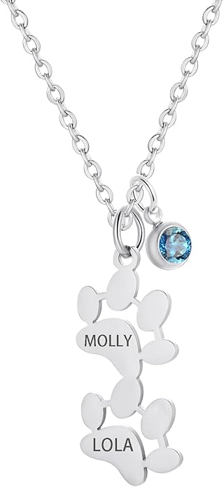 MeiceM Personalized Memorial Necklace,Custom engraving Pet Name pendant,Paw print necklace for women,Paw Print Pendant with Birthstone,Dog cat Loss Keepsake Jewelry (2 Paw Prints)