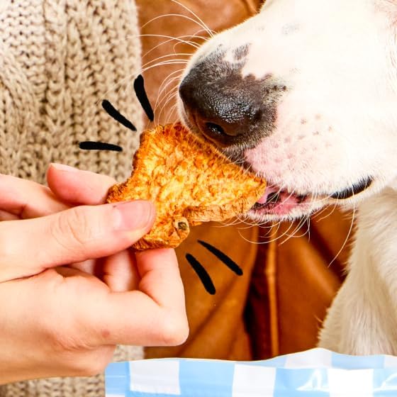 Spot & Tango Sweet Potato Bites Dog Treats - Single Ingredient, 100% Sweet Potato - Air-Dried Snacks - Grain & Gluten-Free - USA-Made - for Small, Medium, and Large Dogs