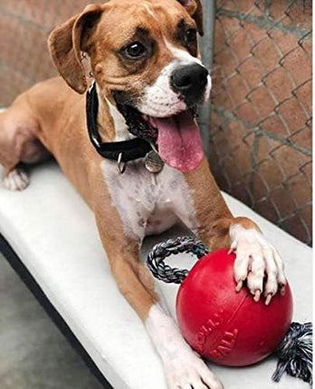 Jolly Pets Romp-n-Roll Rope and Ball Dog Toy, 6 Inches/Medium, Red (606 RD)