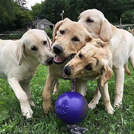 Jolly Pets Romp-n-Roll Rope and Ball Dog Toy, 6 Inches/Medium, Purple