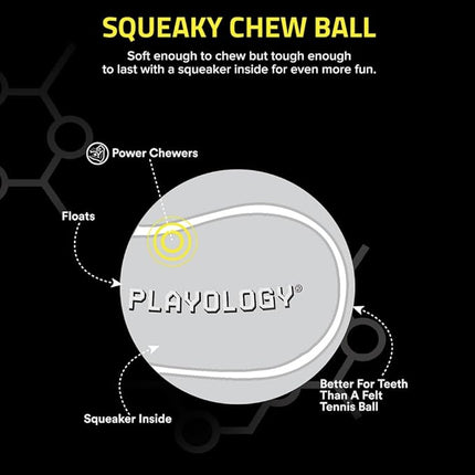 Playology Dog Toys | Squeaky Chew Ball - Bouncy Durable Floating Fetch Ball for Dogs, Value 2-Pack | Medium Beef Scented Toy - Easy to Clean and Made from Non Toxic Materials