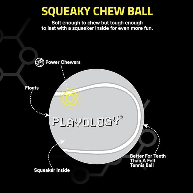 Playology Dog Toys | Squeaky Chew Ball - Bouncy Durable Floating Fetch Ball for Dogs, Value 2-Pack | Medium Chicken Scented Toy - Easy to Clean and Made from Non Toxic Materials