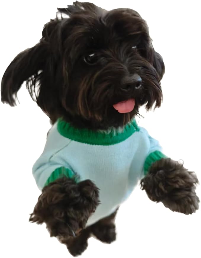 Fall/Winter Dog & Cat Sweater - Cozy Knit Pullover for Small Pets, Light Blue with Red Apple Print, Warm & Breathable for Indoors/Outdoors, Anti-Shedding, Soft Yarn (XS/S/M/L/XL) (X-Large)